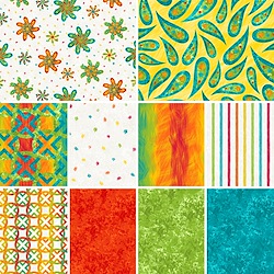 Blank Quilting Color Burst Full Collection